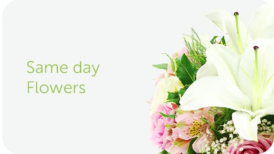 congratulations-flowers